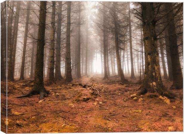 Cold Autumn Forest Scene at Bury Ditches Canvas Print by Simon Marlow