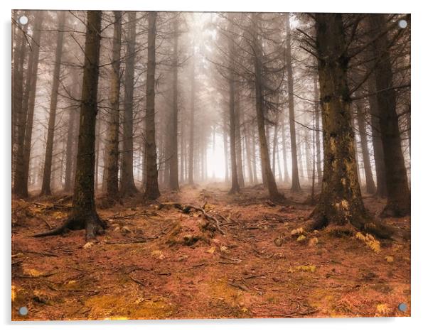 Cold Autumn Forest Scene at Bury Ditches Acrylic by Simon Marlow