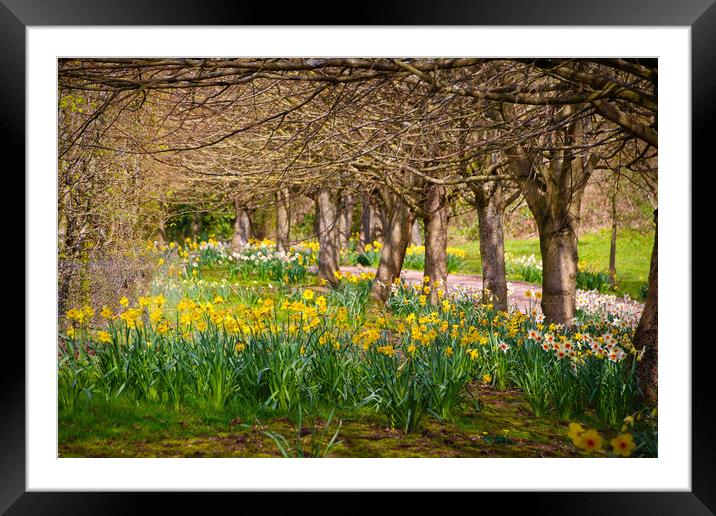 Bursting into Spring Framed Mounted Print by Simon Marlow