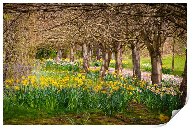 Bursting into Spring Print by Simon Marlow