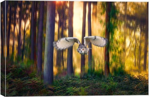 Majestic flight of the European Eagle Owl Canvas Print by Simon Marlow