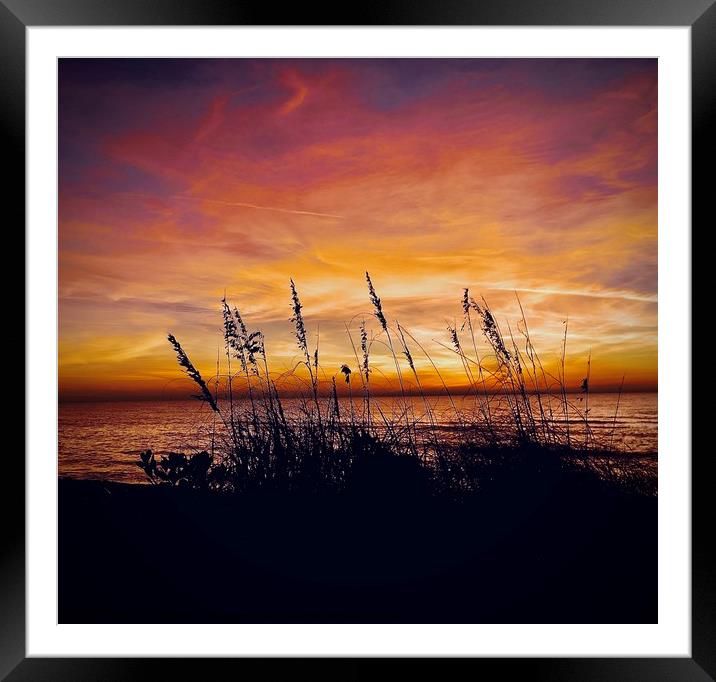 Turtle Beach Framed Mounted Print by Tony Williams. Photography email tony-williams53@sky.com