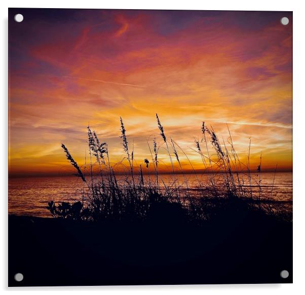 Turtle Beach Acrylic by Tony Williams. Photography email tony-williams53@sky.com