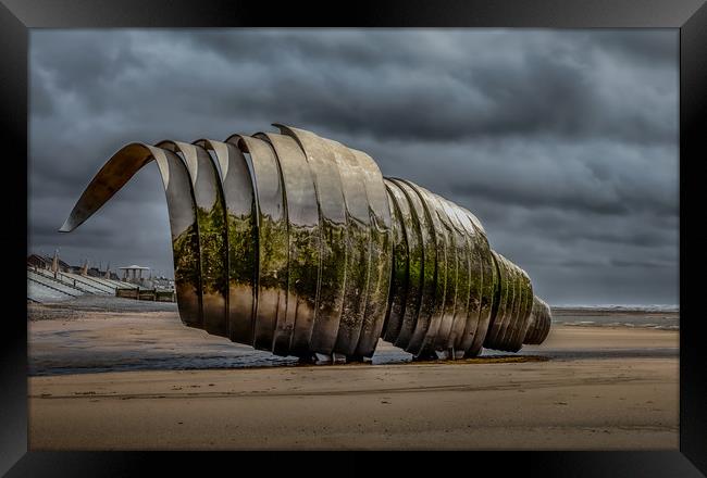 Mary's Shell before the Storm Framed Print by Scott Somerside