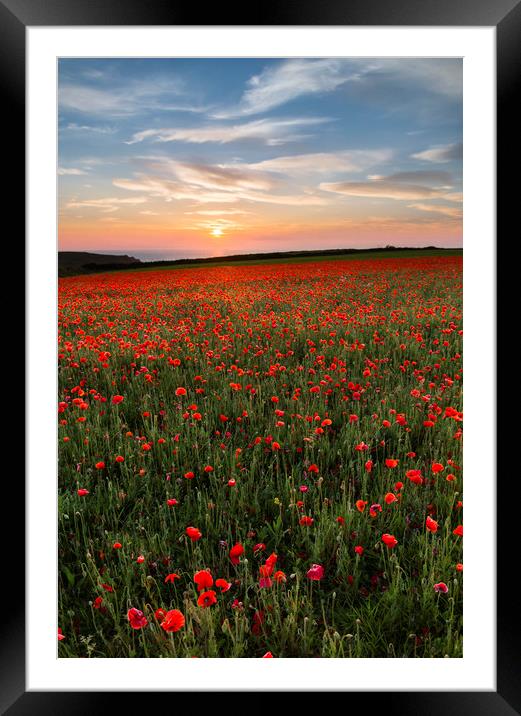 Sunset over Poppies, West Pentire, Cornwall Framed Mounted Print by Mick Blakey