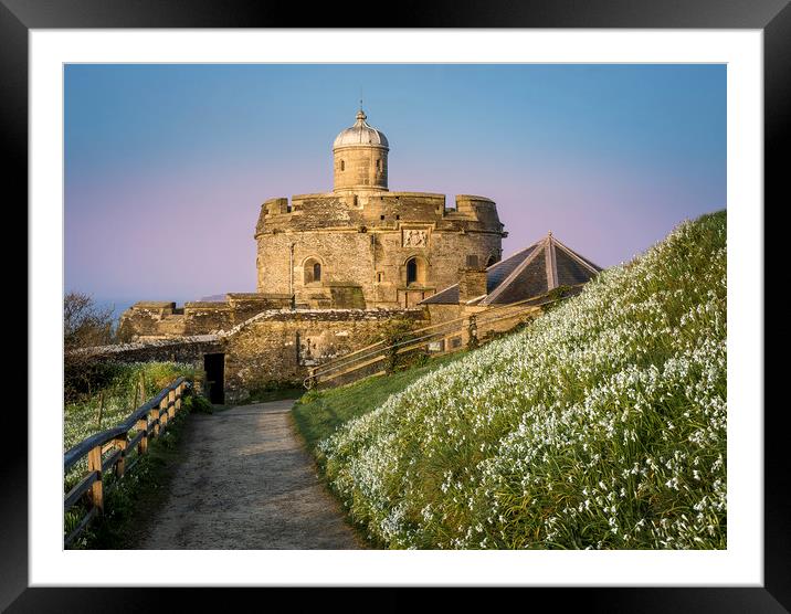  St Mawes Castle in South Cornwall  Framed Mounted Print by Mick Blakey