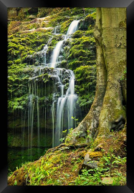 Flowing behind the tree Framed Print by David McCulloch