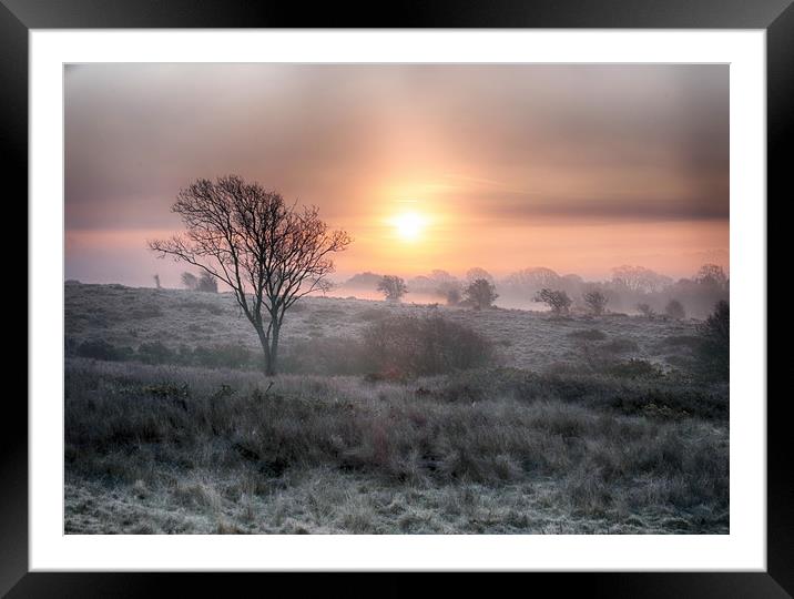 WInter Dawn Framed Mounted Print by Ceri Jones