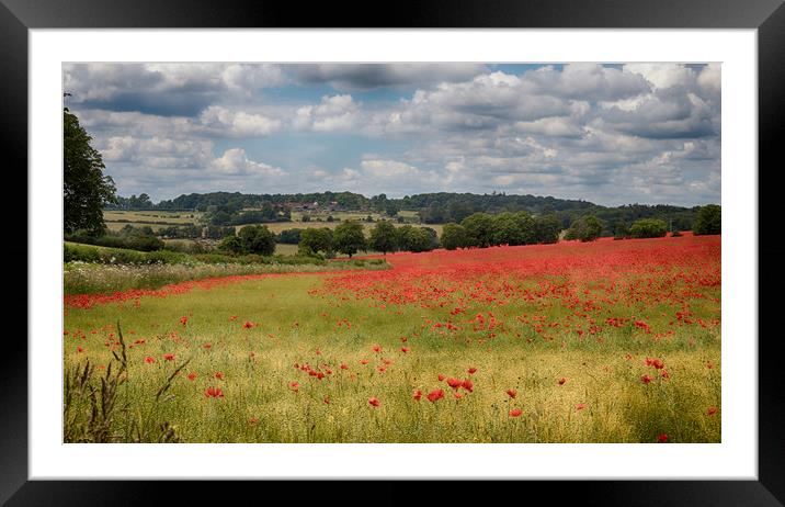 Summer Poppies Framed Mounted Print by Ceri Jones