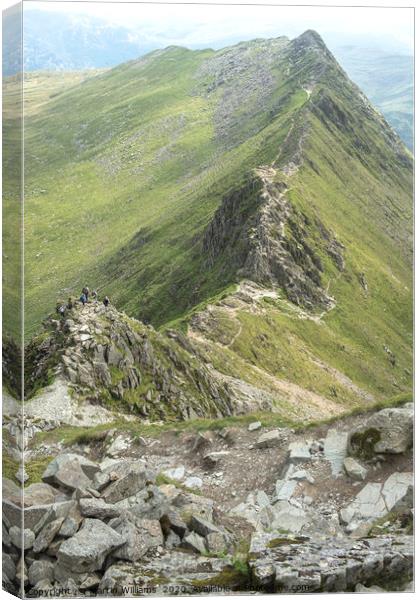 Striding Edge viewed from Helvellyn Canvas Print by Martin Williams