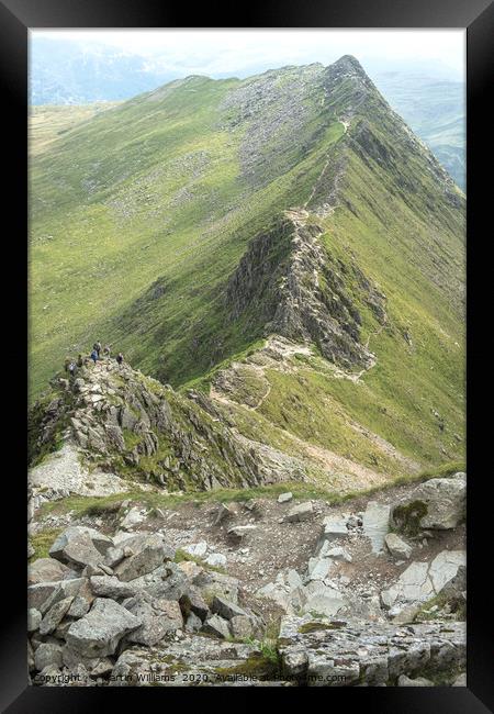 Striding Edge viewed from Helvellyn Framed Print by Martin Williams