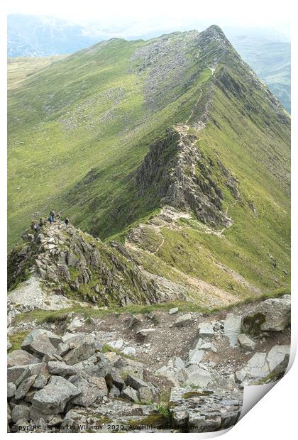Striding Edge viewed from Helvellyn Print by Martin Williams