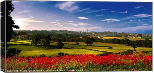 "Panorama Poppies" Canvas Print by ROS RIDLEY
