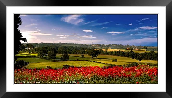 "Panorama Poppies" Framed Mounted Print by ROS RIDLEY