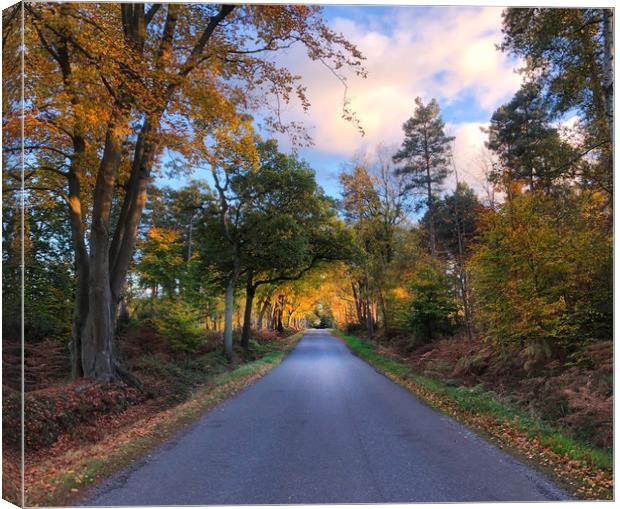 A Serene Countryside Road Canvas Print by Simon Marlow