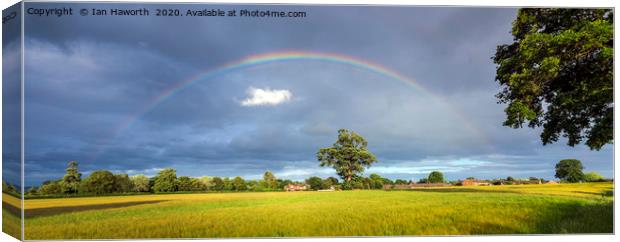 Rainbow Over Barley Fields Canvas Print by Ian Haworth