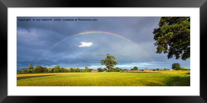 Rainbow Over Barley Fields Framed Mounted Print by Ian Haworth