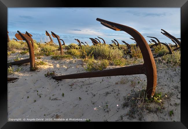 Anchors and sunset in Barril beach Framed Print by Angelo DeVal