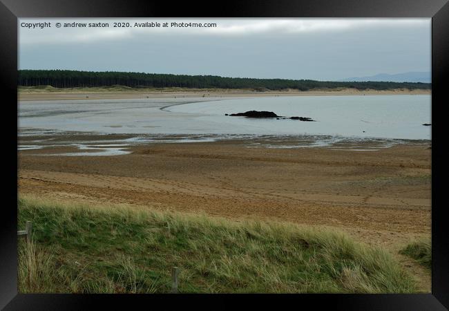 THE SANDY SHORE Framed Print by andrew saxton