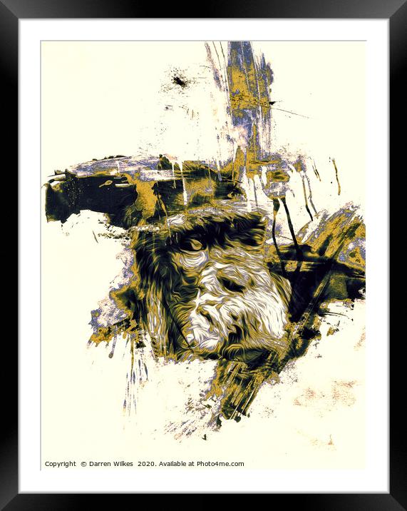 Chimpanzee Art  Framed Mounted Print by Darren Wilkes