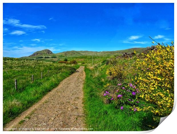 West Highland Way looking towards Dumgoyne Hill    Print by yvonne & paul carroll
