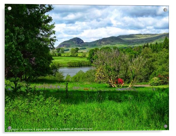 Looking over Carbeth Loch to the Campsies and Dumg Acrylic by yvonne & paul carroll