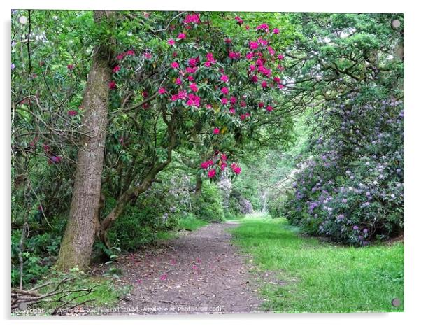 A walk in the woods, Pollok Country Park           Acrylic by yvonne & paul carroll