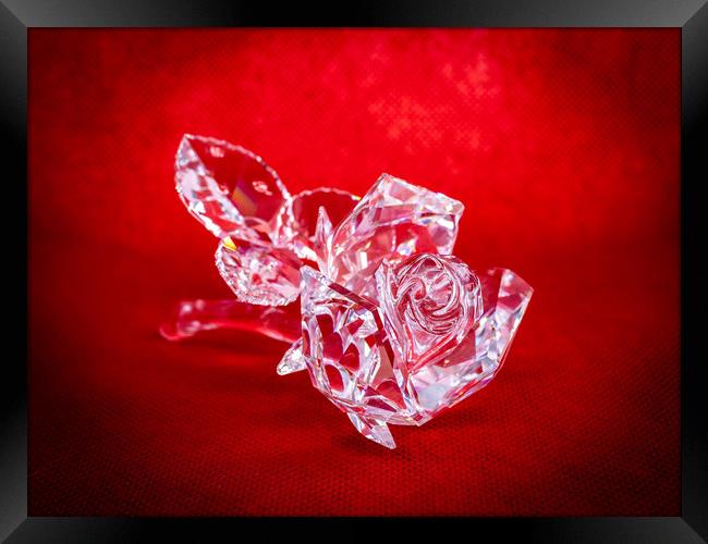 Crystal Rose Framed Print by David Jeffery