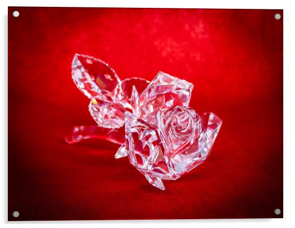 Crystal Rose Acrylic by David Jeffery