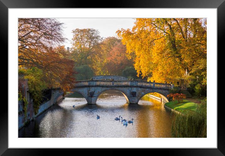 Clare College Bridge, Cambridge Framed Mounted Print by Andrew Sharpe