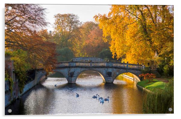 Clare College Bridge, Cambridge Acrylic by Andrew Sharpe