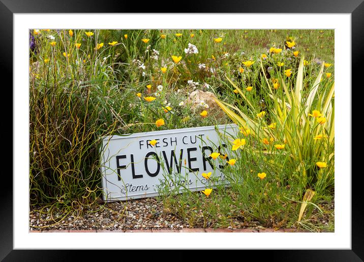 Garden flowers with fresh cut flower sign 0763 Framed Mounted Print by Simon Bratt LRPS