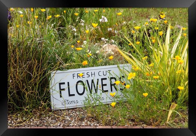 Garden flowers with fresh cut flower sign 0763 Framed Print by Simon Bratt LRPS