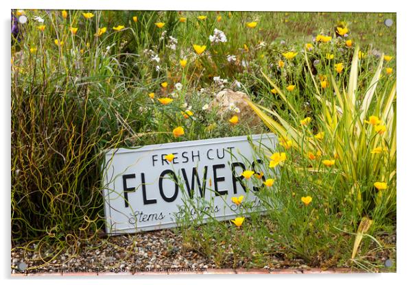 Garden flowers with fresh cut flower sign 0763 Acrylic by Simon Bratt LRPS