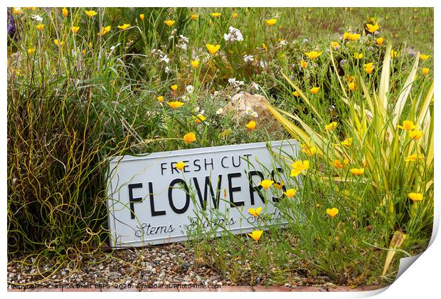 Garden flowers with fresh cut flower sign 0763 Print by Simon Bratt LRPS