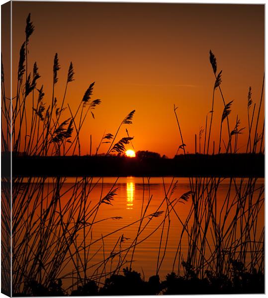 Hjarbaek Sunset Canvas Print by Paul Davis