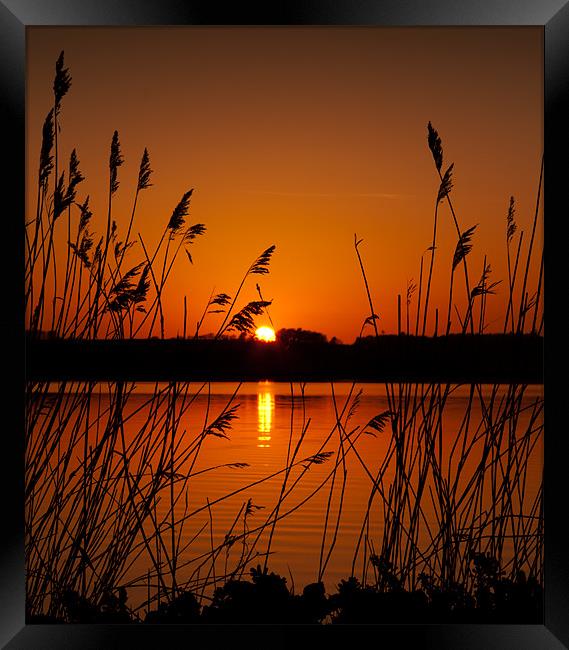 Hjarbaek Sunset Framed Print by Paul Davis