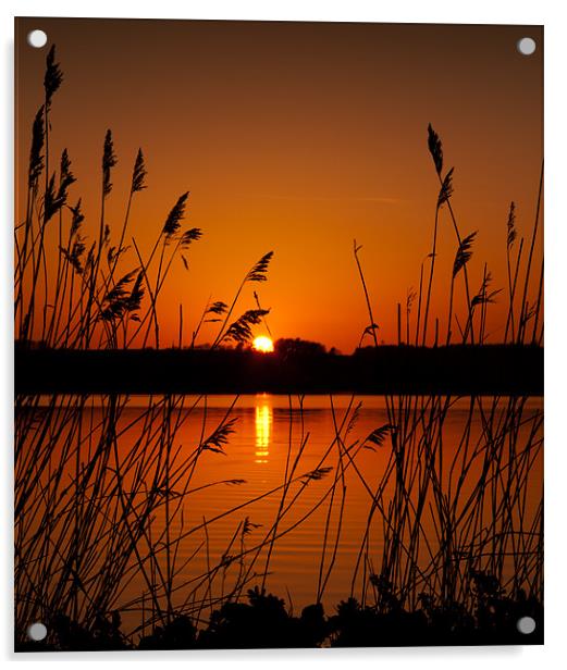 Hjarbaek Sunset Acrylic by Paul Davis