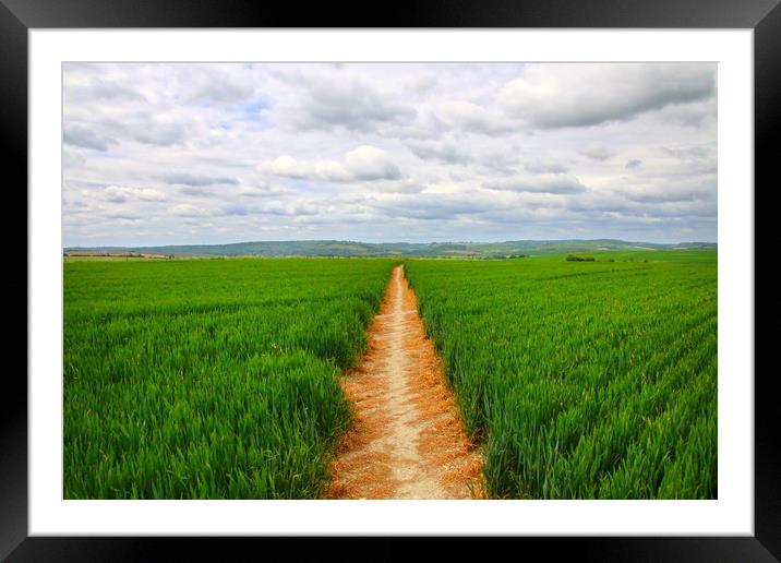 Golden pathway through a field Framed Mounted Print by Simon Marlow