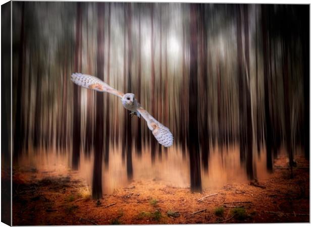 Majestic Barn Owl in the Forest Canvas Print by Simon Marlow