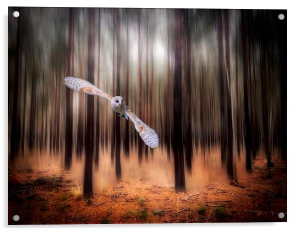 Majestic Barn Owl in the Forest Acrylic by Simon Marlow
