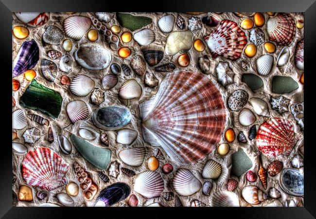 Oceans Treasures Framed Print by Simon Marlow