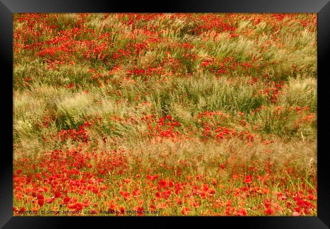 Poppies and grass blowing in the wind Framed Print by Simon Johnson