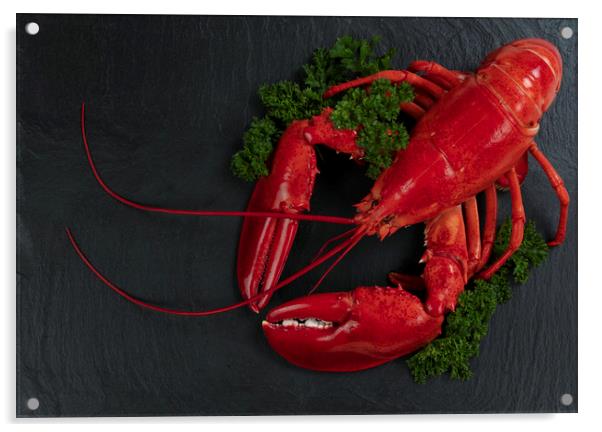 Whole red lobster with fresh parsley on slate ston Acrylic by Thomas Baker