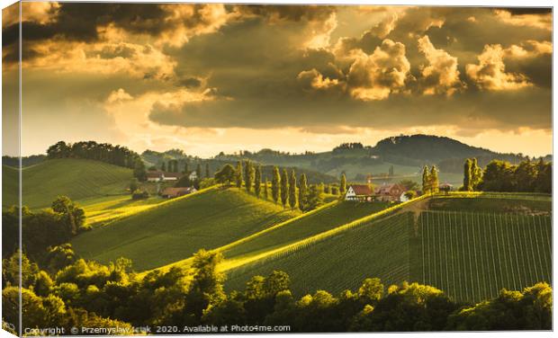 Landscape of Austrian vineyards in south Styria, E Canvas Print by Przemek Iciak
