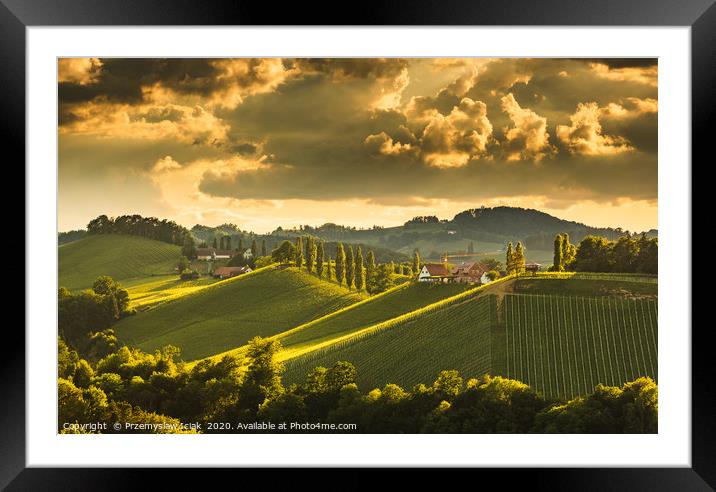 Landscape of Austrian vineyards in south Styria, E Framed Mounted Print by Przemek Iciak