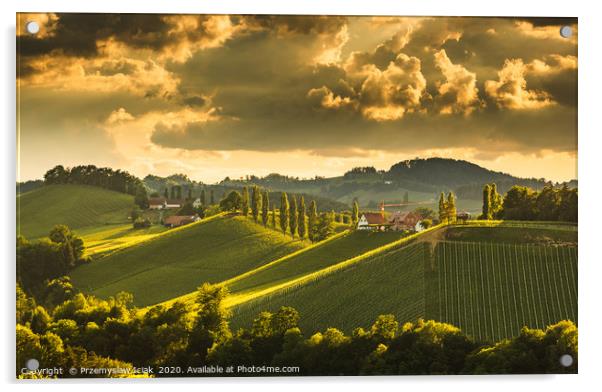 Landscape of Austrian vineyards in south Styria, E Acrylic by Przemek Iciak