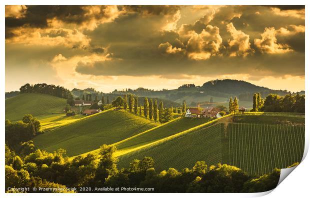 Landscape of Austrian vineyards in south Styria, E Print by Przemek Iciak