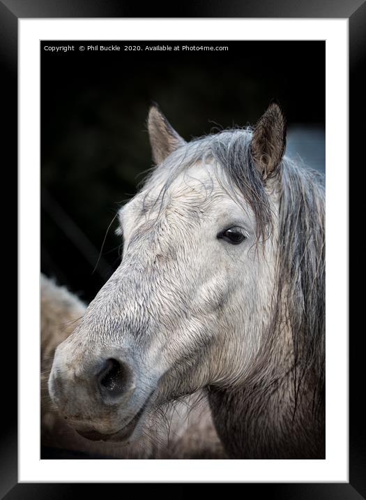 Fell Side White Horse Framed Mounted Print by Phil Buckle
