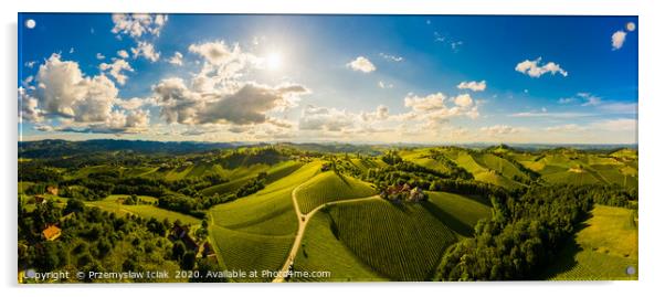 Vineyards, aerial panorama in Austria, Europe Acrylic by Przemek Iciak
